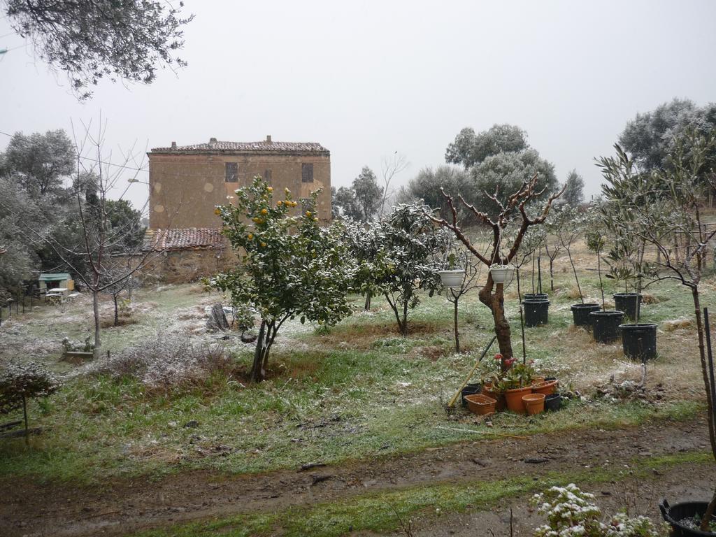 B&B Pietra-Monetta Pietra Moneta Dış mekan fotoğraf
